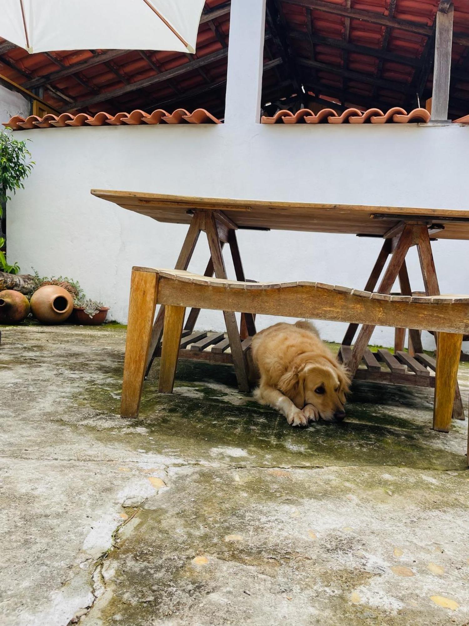 Casinha 87 Βίλα Tiradentes Εξωτερικό φωτογραφία